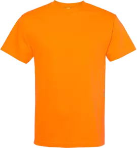 T-Shirt d'épique