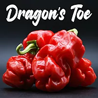 Semences de piments DRAGON'S TOE RED