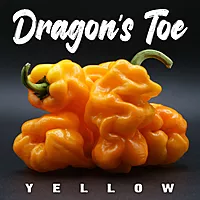 Semences de piments DRAGON'S TOE YELLOW