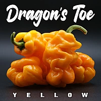 Semences de piments DRAGON'S TOE YELLOW
