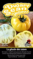Semences de tomates Dwarf Sean yellow