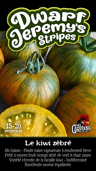Semences de tomates Dwarf Jeremy's stripes ( Le kiwi zebré)