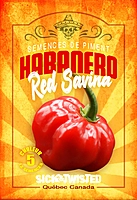 Semences de piment Habanero red savina