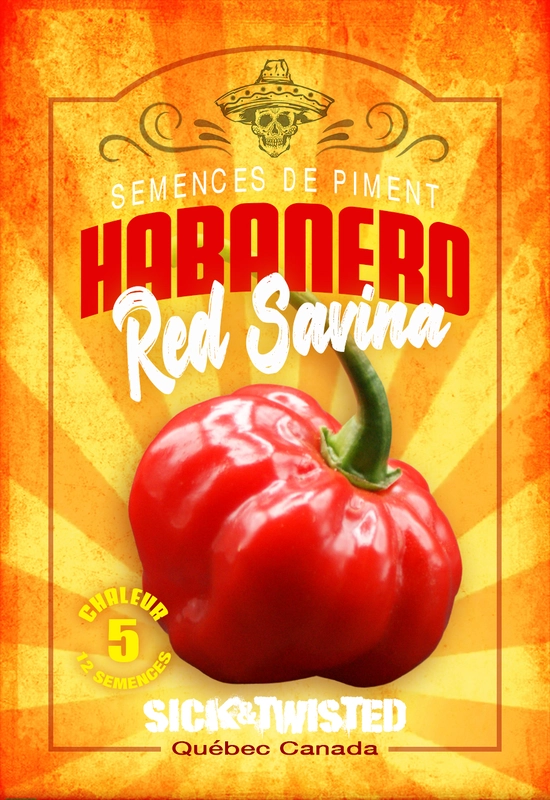 Semences de piment Habanero red savina