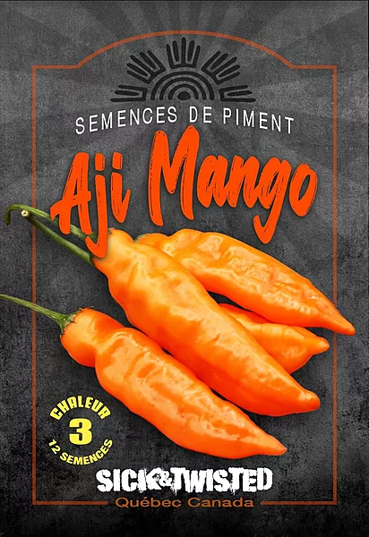 Semences de piment Aji Mango