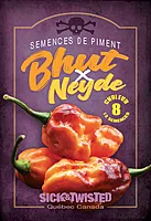 Semences de piment Buth x Neyde