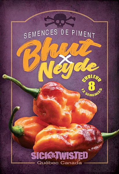 Semences de piment Buth x Neyde