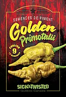 Semences de piment Golden primotalii