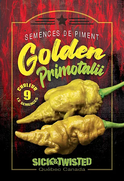 Semences de piment Golden primotalii