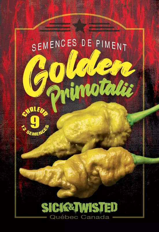 Semences de piment Golden primotalii