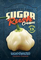 Semences de piments Sugar rush cream