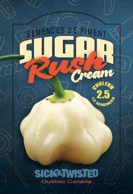 Semences de piments Sugar rush cream
