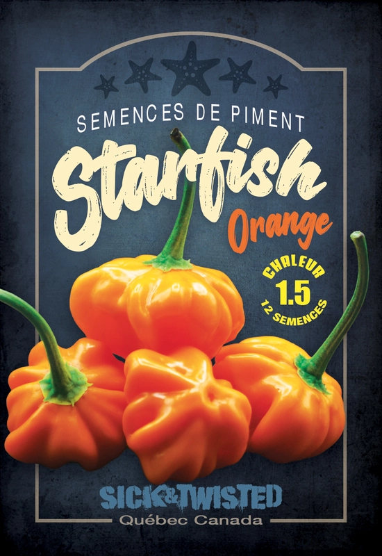 Semences de piments Starfish Orange