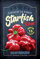 Semences de piments Starfish Red