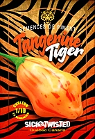 Semences de piment Tangerine Tiger