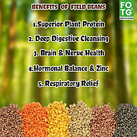 Field Beans Mochai 1 Kg