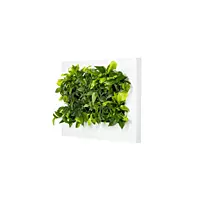 LivePicture 2 - White