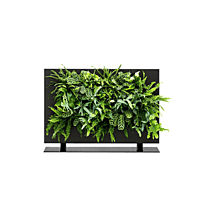 LiveDivider PLUS 1 - Black