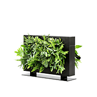 LiveDivider PLUS 1 - Black