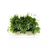 LiveDivider PLUS 1 - White