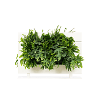 LiveDivider PLUS 1 - White