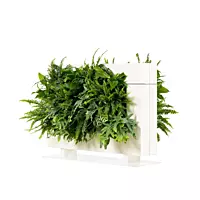 LiveDivider PLUS 1 - White