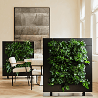 LiveDivider PLUS 2 - Black