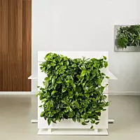 LiveDivider PLUS 2 - White