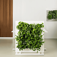 LiveDivider PLUS 2 - White