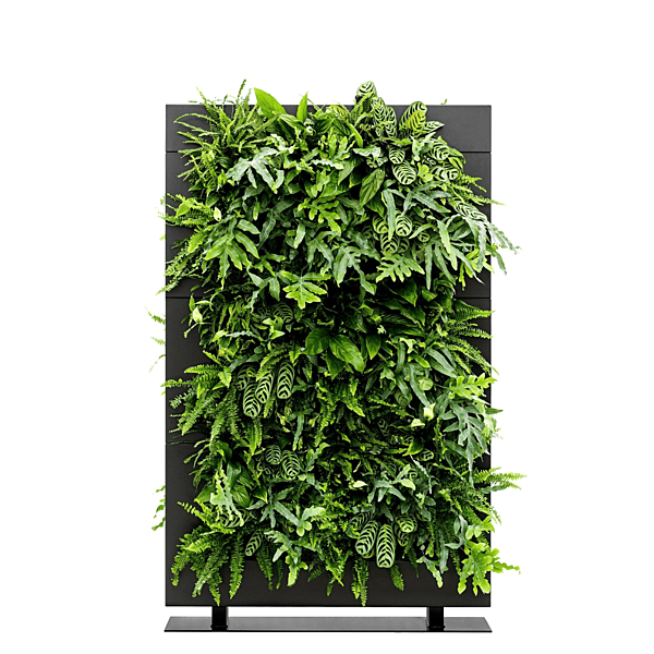 LiveDivider PLUS 3 - Black