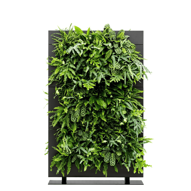LiveDivider PLUS 3 - Black