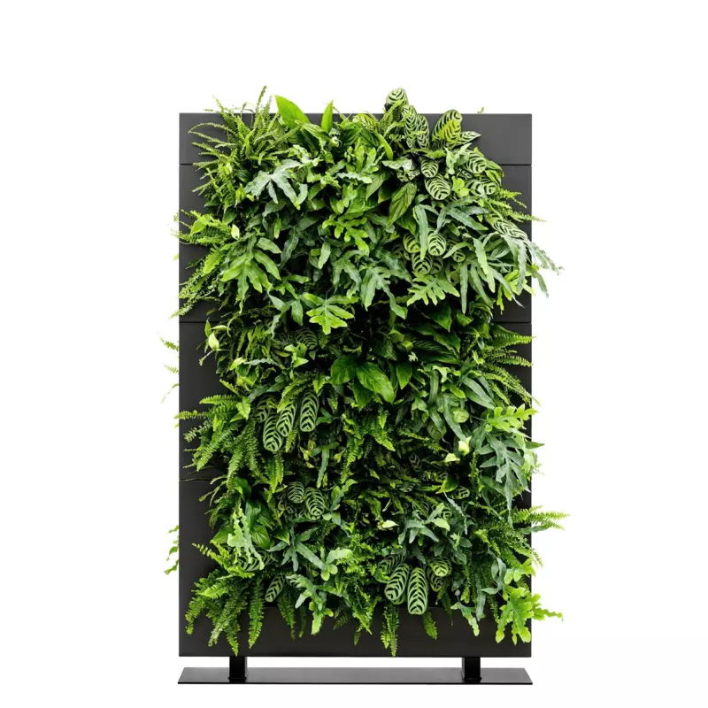 LiveDivider PLUS 3 - Black