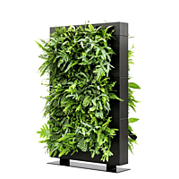 LiveDivider PLUS 3 - Black