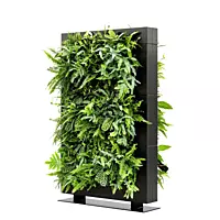 LiveDivider PLUS 3 - Black