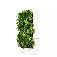 LiveDivider PLUS 3 - White