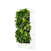 LiveDivider PLUS 3 - White