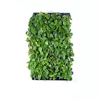 LivePanel Pack 2 X 3