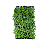 LivePanel Pack 2 X 3