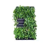 LivePanel Pack 2 X 3
