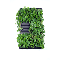 LivePanel Pack 2 X 3