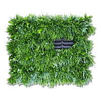LivePanel Pack 6 X 4