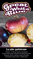 Semences de tomates Great white blue