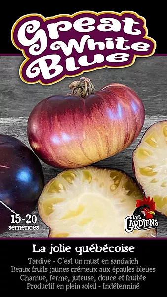 Semences de tomates Great white blue