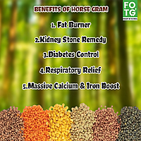 Horse Gram 1 Kg