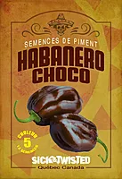 Semences de piments Habanero Chocolat