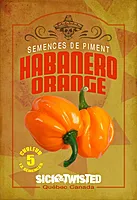 Semences de piments Habanero Orange