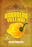 Semences de piments Habanero Jaune