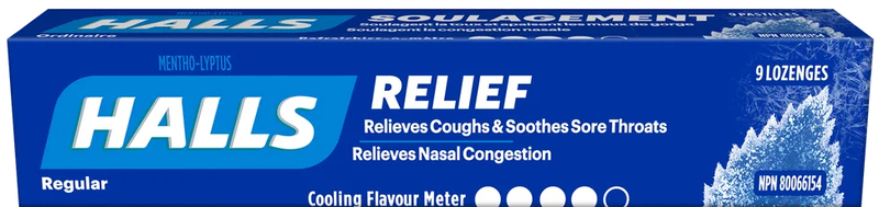 Halls Mentho-Lyptus Regular 20 x 9 Pastils