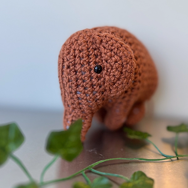 Peanut the Elephant