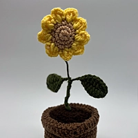 Sunflower in Bloom